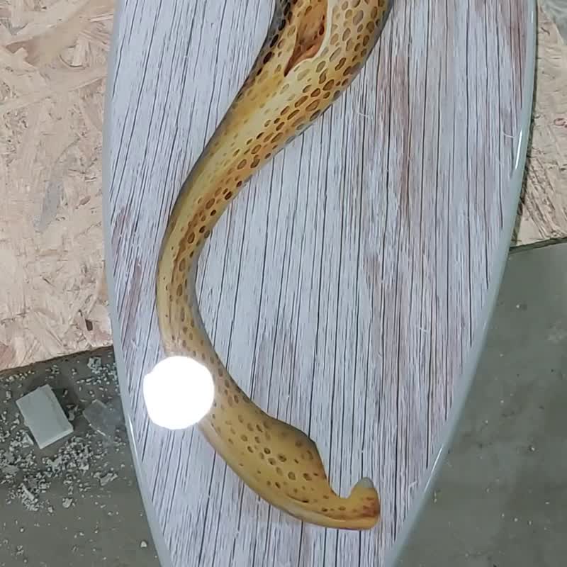 Surfboard-shaped LED wall light with a realistic leopard shark print. - 灯具/灯饰 - 木头 蓝色